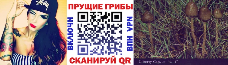 Галлюциногенные грибы Psilocybine cubensis  купить   KRAKEN ссылки  Котовск 